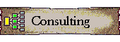 Consulting